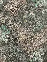 IMG_7817 3.webp