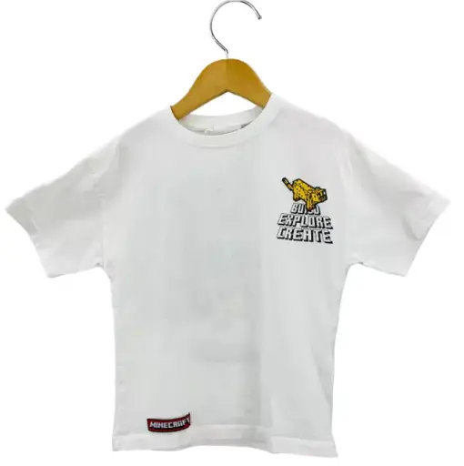 Camiseta Zara Minecraft